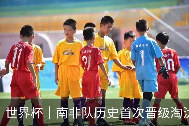 世界杯｜南非队历史首次晋级淘汰赛