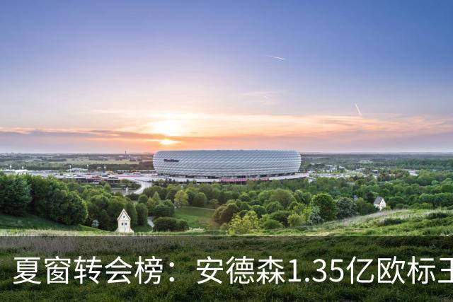 夏窗转会榜：安德森1.35亿欧标王 5000万欧+交易已11笔